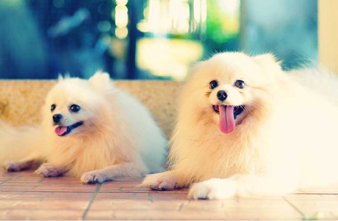 鄭州APP研發(fā)