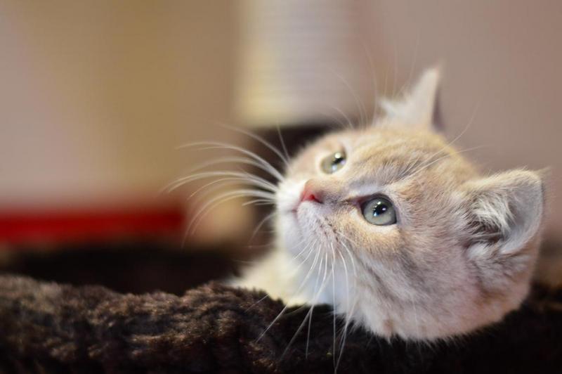 鄭州APP開發(fā)多少錢