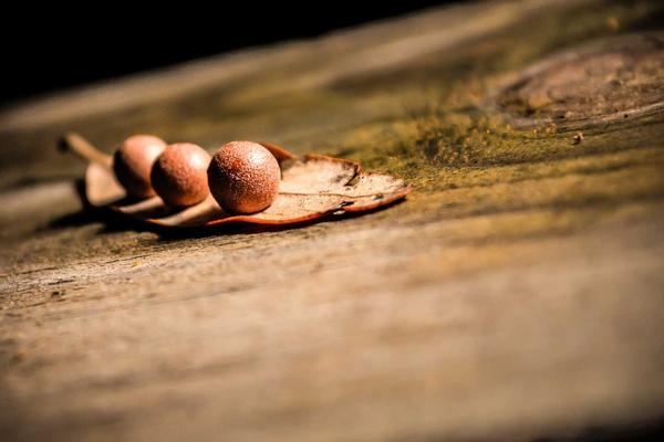 鄭州APP外包公司